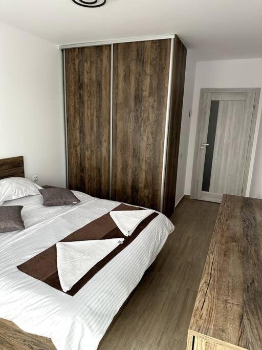 Central River Apartment คลูจ-นาโปกา ภายนอก รูปภาพ