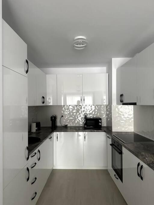 Central River Apartment คลูจ-นาโปกา ภายนอก รูปภาพ
